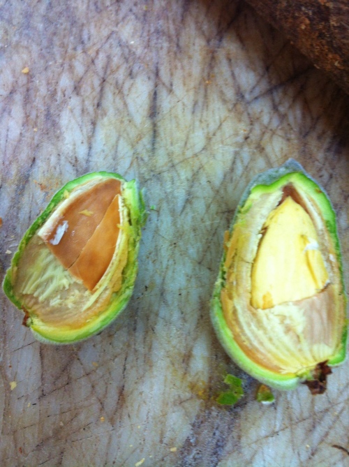 The almond is gently cracked open with a knife or a rolling pin to release the inner meat. 